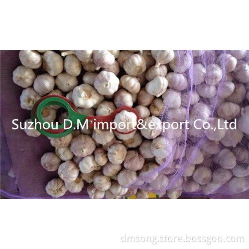 Chinese high quality garlic 4.5-6.5cm